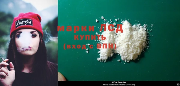дмт Богданович