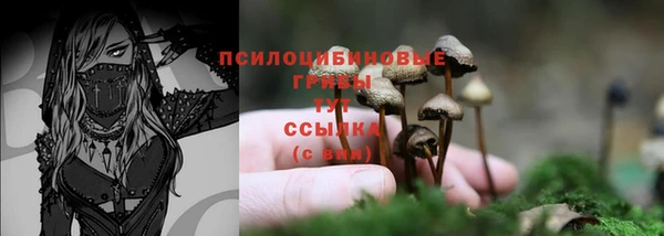 PSILOCYBIN Богородск