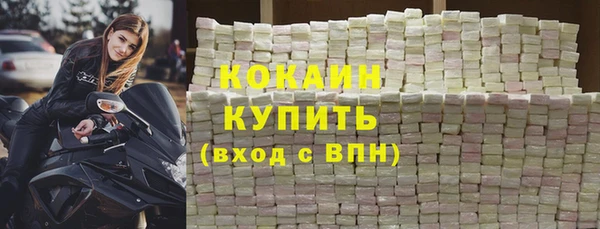 дмт Богданович