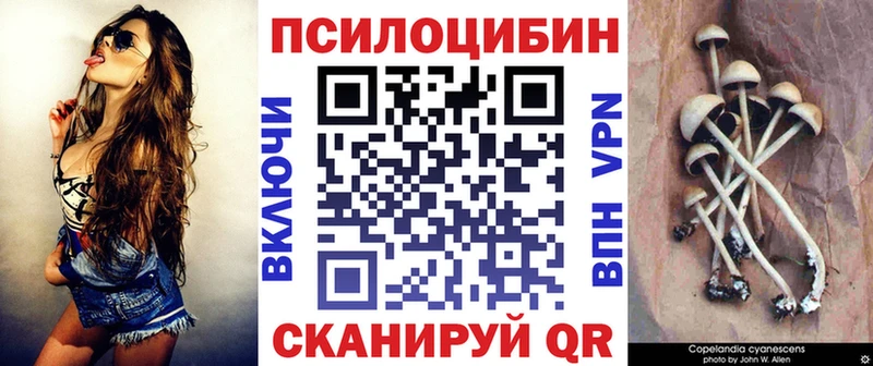 omg ССЫЛКА  Медногорск  Псилоцибиновые грибы ЛСД 